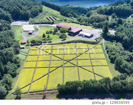 空撮「青森県」体験交流施設の「山の楽校」の夏風景 129038595