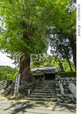 四国霊場番外札所 杖杉庵 徳島県神山町 四国霊場番外札所 杖杉庵 徳島県神山町 129038916