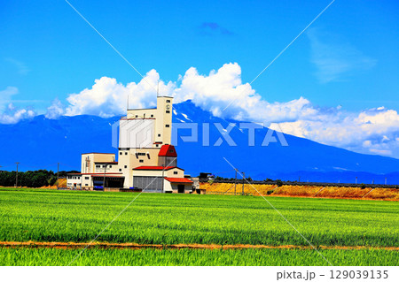 夏の青空と田圃風景 129039135