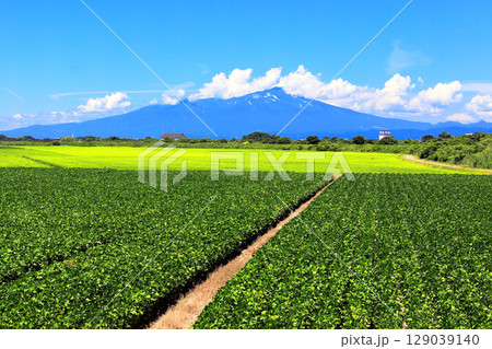 夏の青空と田圃風景 129039140