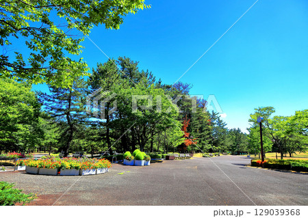 夏の行楽日和　広場風景と道 129039368