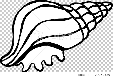 Counch shell seashell doodle outline, fisherman aesthetic 129039389
