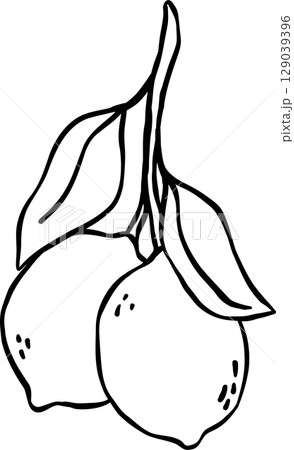 Bunch Lemons doodle outline, fisherman aesthetic 129039396