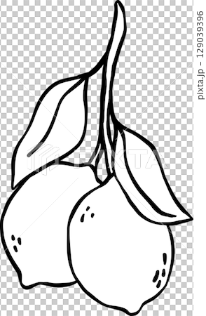 Bunch Lemons doodle outline, fisherman aesthetic 129039396