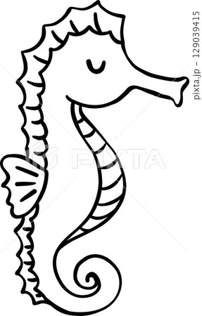 Cute Seahorse doodle outline, fisherman aesthetic Cute Seahorse doodle outline, fisherman aesthetic 129039415