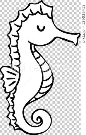 Cute Seahorse doodle outline, fisherman aesthetic Cute Seahorse doodle outline, fisherman aesthetic 129039415