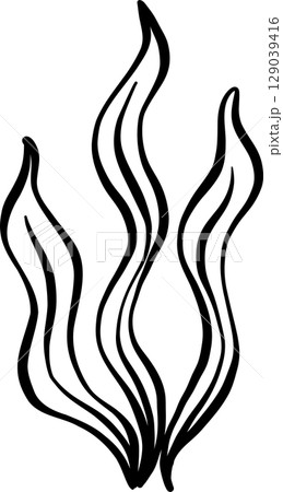 Seaweed outline doodle hand drawn black and white 129039416
