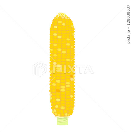 黄色いとうもろこし 129039637