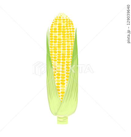 水彩風白い背景の皮つきとうもろこし 水彩風白い背景の皮つきとうもろこし 129039640