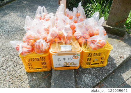 神奈川県 大山登山道入り口の柿の無人販売 129039641