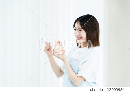 歯ブラシと歯の模型を持つ歯科スタッフの女性 歯ブラシと歯の模型を持つ歯科スタッフの女性 129039844