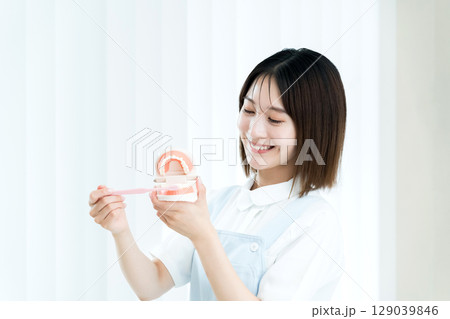 歯ブラシと歯の模型を持つ歯科スタッフの女性 129039846