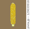水彩風茶色背景のとうもろこし 129039918