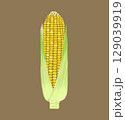 水彩風茶色背景の皮つきとうもろこし 129039919
