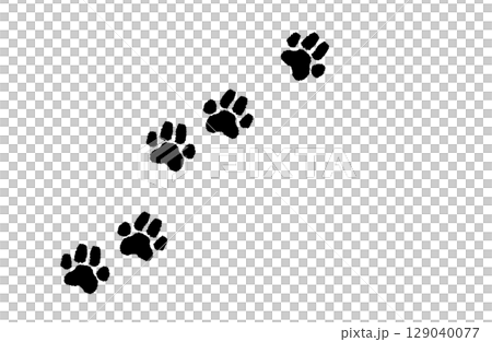 Dog footprint silhouette (black) 129040077