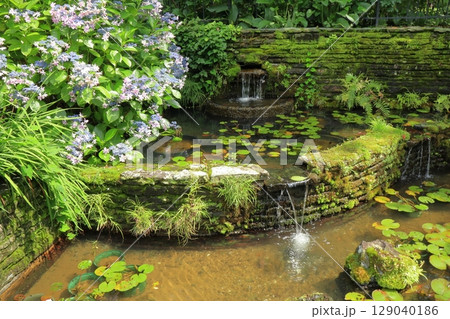 紫陽花の花が咲く初夏の久留米石橋文化センターの池の風景 129040186