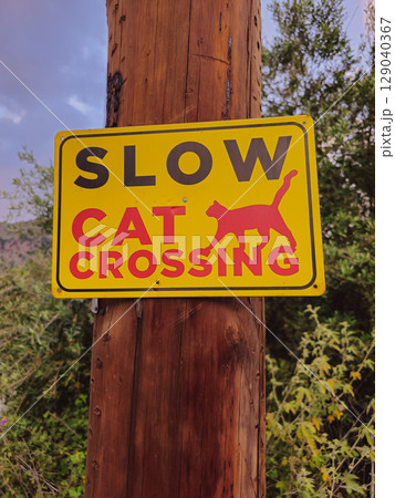 Wooden pole sign saying 'slow cat crossing' to protect local cats from speeding cars 129040367