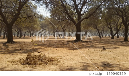 焼けた鉄棒と夏の午後　生成AI画像 129040529