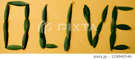 Olive inscription on a yellow background made of olive leaves Olive inscription on a yellow background made of olive leaves 129040546