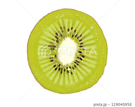 キウイ（断面） 129040958