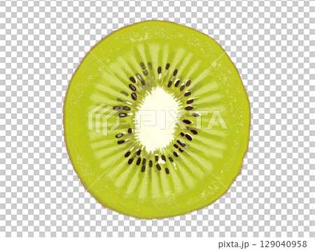キウイ（断面） 129040958