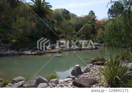 モネの庭 129041171