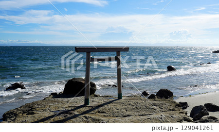 知多半島　つぶて浦の鳥居 129041261