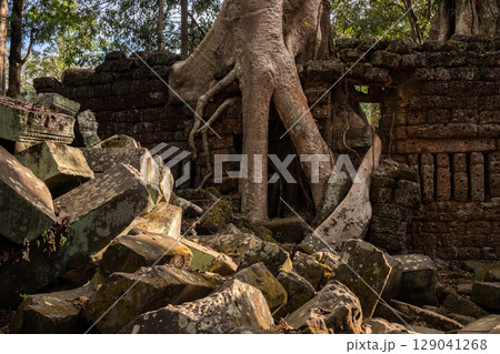 Big roots of spung tree growth in abandoned Ta Prohm temple, one of Angkor's best visited monuments. It is known for the huge trees and massive roots growing out of its walls in Siem Reap, Cambodia. Big roots of spung tree growth in abandoned Ta Prohm temple, one of Angkor's best visited monuments. It is known for the huge trees and massive roots growing out of its walls in Siem Reap, Cambodia. 129041268