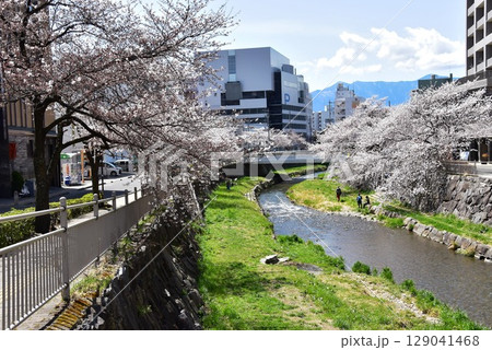 松本市 女鳥羽川と満開桜並木と周辺街並み 松本市 女鳥羽川と満開桜並木と周辺街並み 129041468
