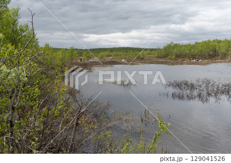 A man fishes at the edge of a northern wetland surrounded by fresh spring greenery and still water, under a dramatic cloudy sky 129041526