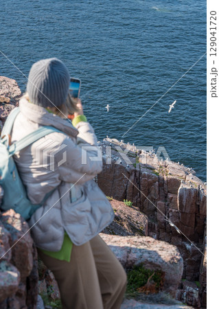 Woman in warm clothing sitting on a rocky Arctic cliff at the Barents Sea in Teriberka park, photographing a seabird colony with her smartphone 129041720