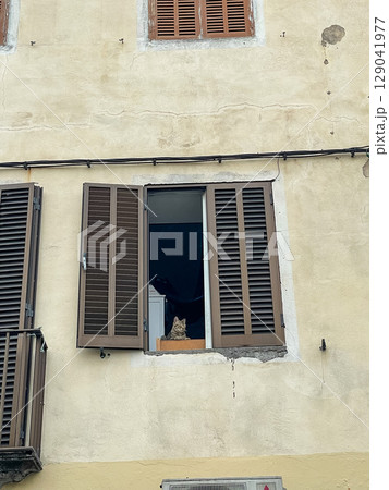 A building facade in Horta, Faial Island, featuring an open window with brown shutters, cat inside 129041977