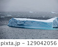南極クルーズで見た流氷 129042056
