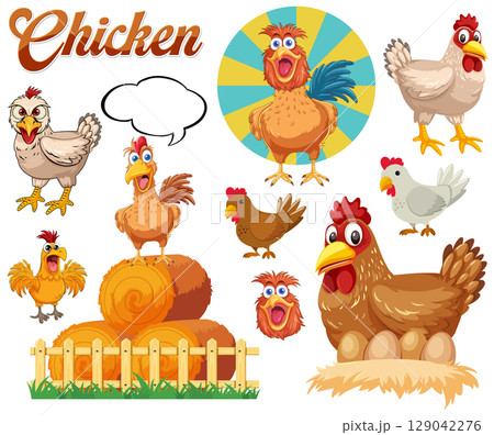 Colorful Chicken Vector Illustration Set Colorful Chicken Vector Illustration Set 129042276