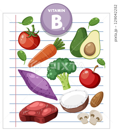 Vitamin B3 Rich Foods Illustrated on Lined Paper 129042282