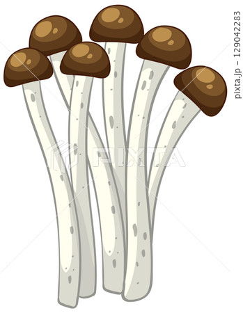 Vector Illustration of Enoki Mushrooms Cluster 129042283