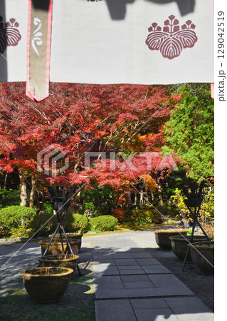 鎌倉 覚園寺の美しい紅葉(神奈川県鎌倉市) 鎌倉 覚園寺の美しい紅葉(神奈川県鎌倉市) 129042519