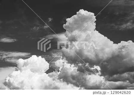 積乱雲が成長する夏空　d-6 モノクロ 129042620