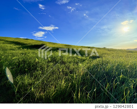 鬼岳の稜線と広がる緑の丘と青空 鬼岳の稜線と広がる緑の丘と青空 129042801