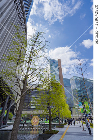 【都市景観】大阪駅うめきた広場からのビル景観 129042920