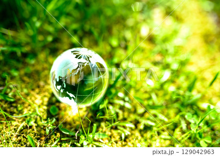 一面の草むらに綺麗な地球儀の水晶　エコロジーイメージ　ノーマルカラー昼 129042963