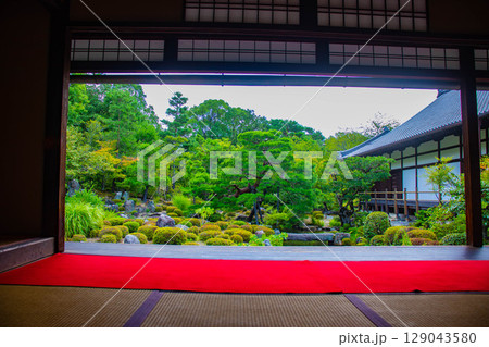 【京都風景】等持院 一人静かに眺める庭に心が和む 【京都風景】等持院 一人静かに眺める庭に心が和む 129043580