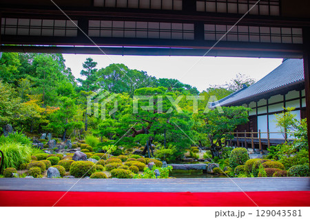 【京都風景】等持院　一人静かに眺める庭に心が和む 129043581