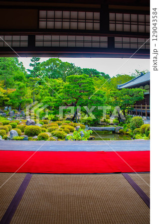 【京都風景】等持院　一人静かに眺める庭に心が和む 129043584