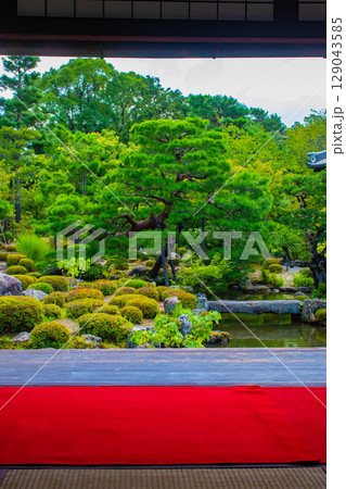 【京都風景】等持院 一人静かに眺める庭に心が和む 【京都風景】等持院 一人静かに眺める庭に心が和む 129043585