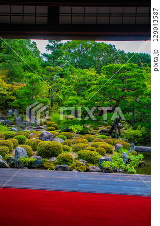 【京都風景】等持院　一人静かに眺める庭に心が和む 129043587