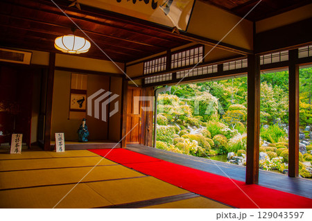 【京都風景】等持院　一人静かに眺める庭に心が和む 129043597