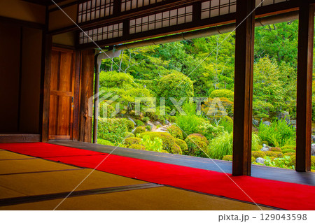 【京都風景】等持院 一人静かに眺める庭に心が和む 【京都風景】等持院 一人静かに眺める庭に心が和む 129043598