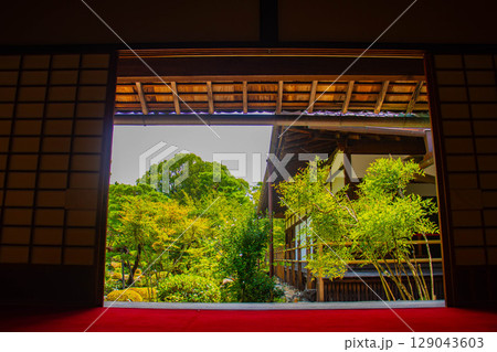 【京都風景】等持院 一人静かに眺める庭に心が和む 【京都風景】等持院 一人静かに眺める庭に心が和む 129043603