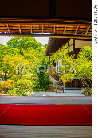 【京都風景】等持院　一人静かに眺める庭に心が和む 129043606